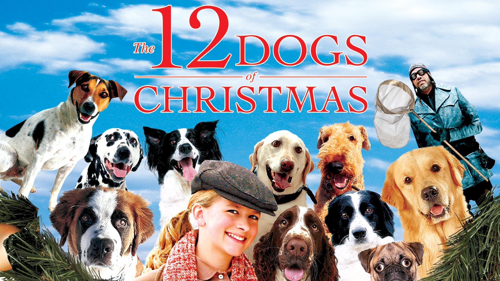 The Dog Who Saved Christmas Wallpapers Wallpaper Cave