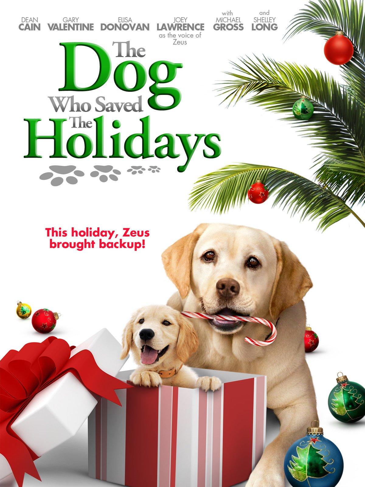 The Dog Who Saved the Holidays: Dean Cain