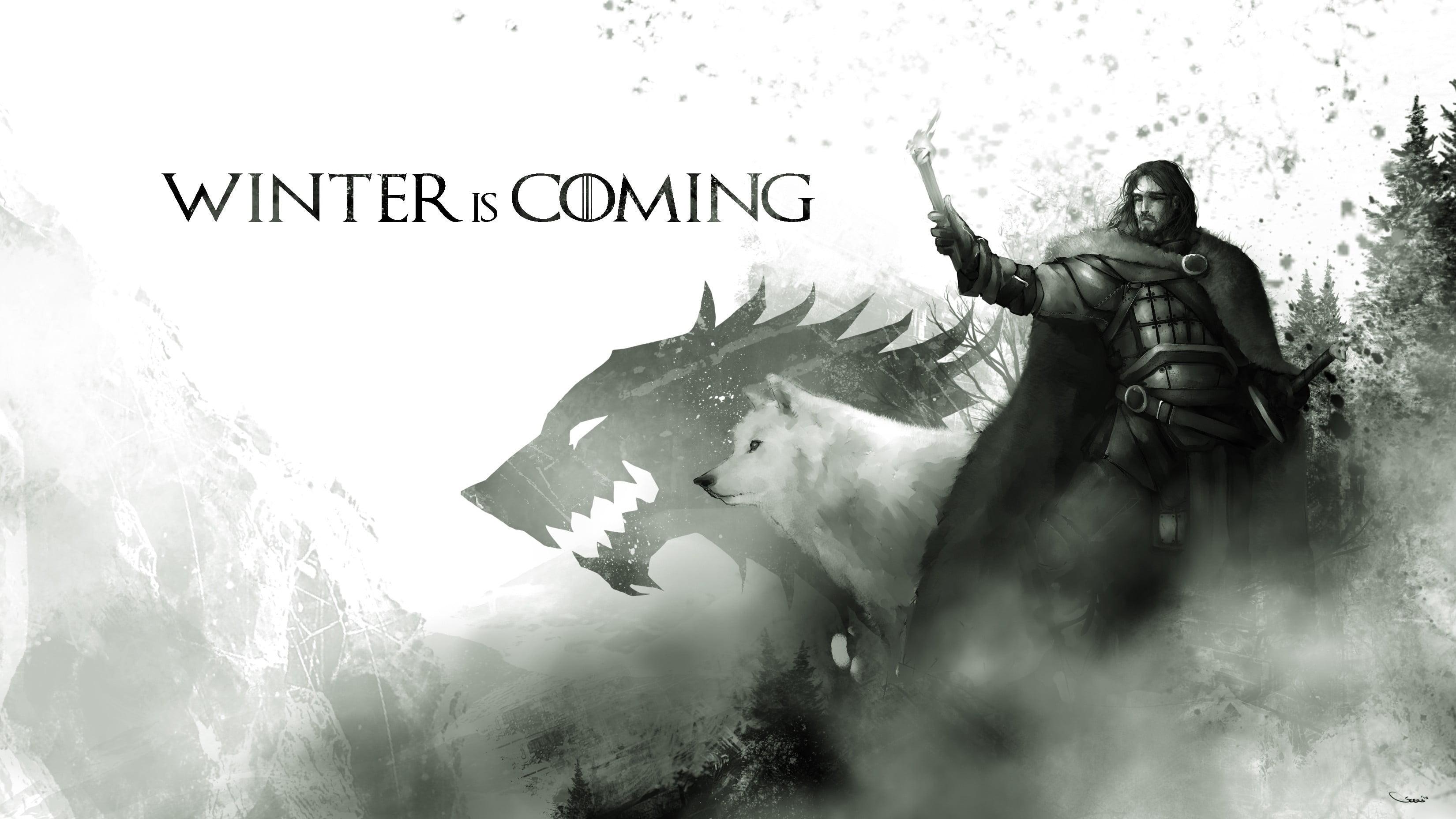 Game of Thrones Winter is Coming poster, Game of Thrones