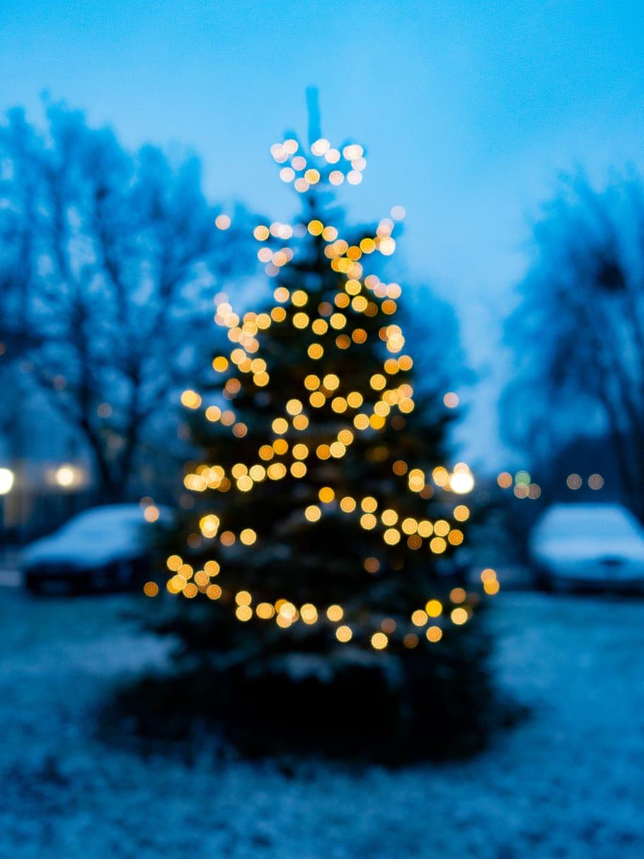 HD wallpaper: Christmas tree, blurred, yellow, blue, light, new year, celebration
