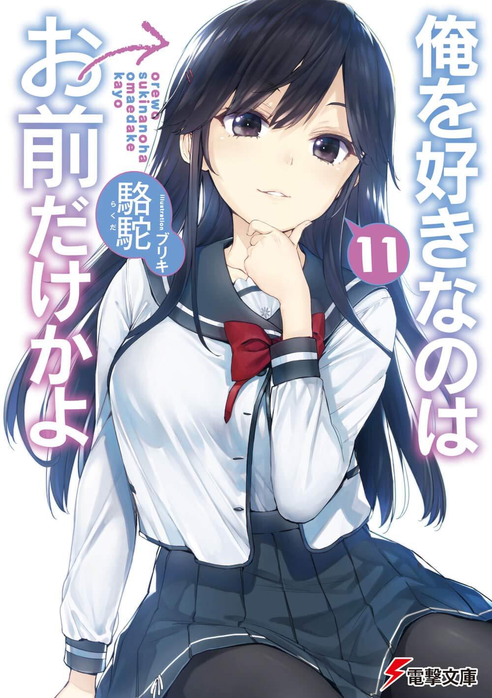 Light Novel Volume 11. Ore wo Suki Nano wa Omae Dake ka yo