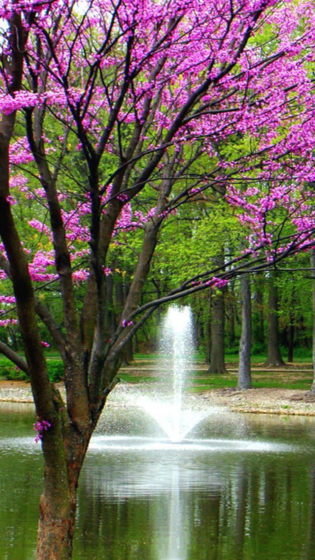 Wallpaper Android Spring Nature Android Wallpaper