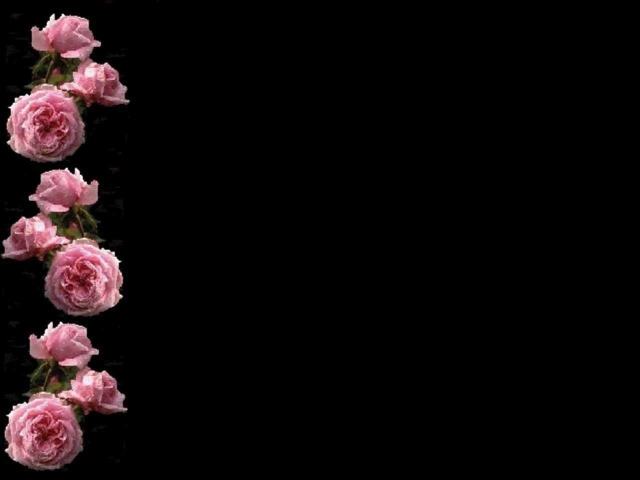 Featured image of post Aesthetic Pink And Black Roses : A collection of the top 47 rose blackpink wallpapers and backgrounds available for download for free.