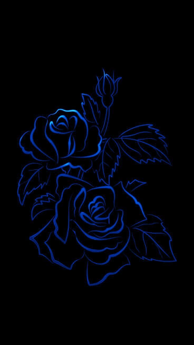 Blue Wallpaper Black Rose Images Slike
