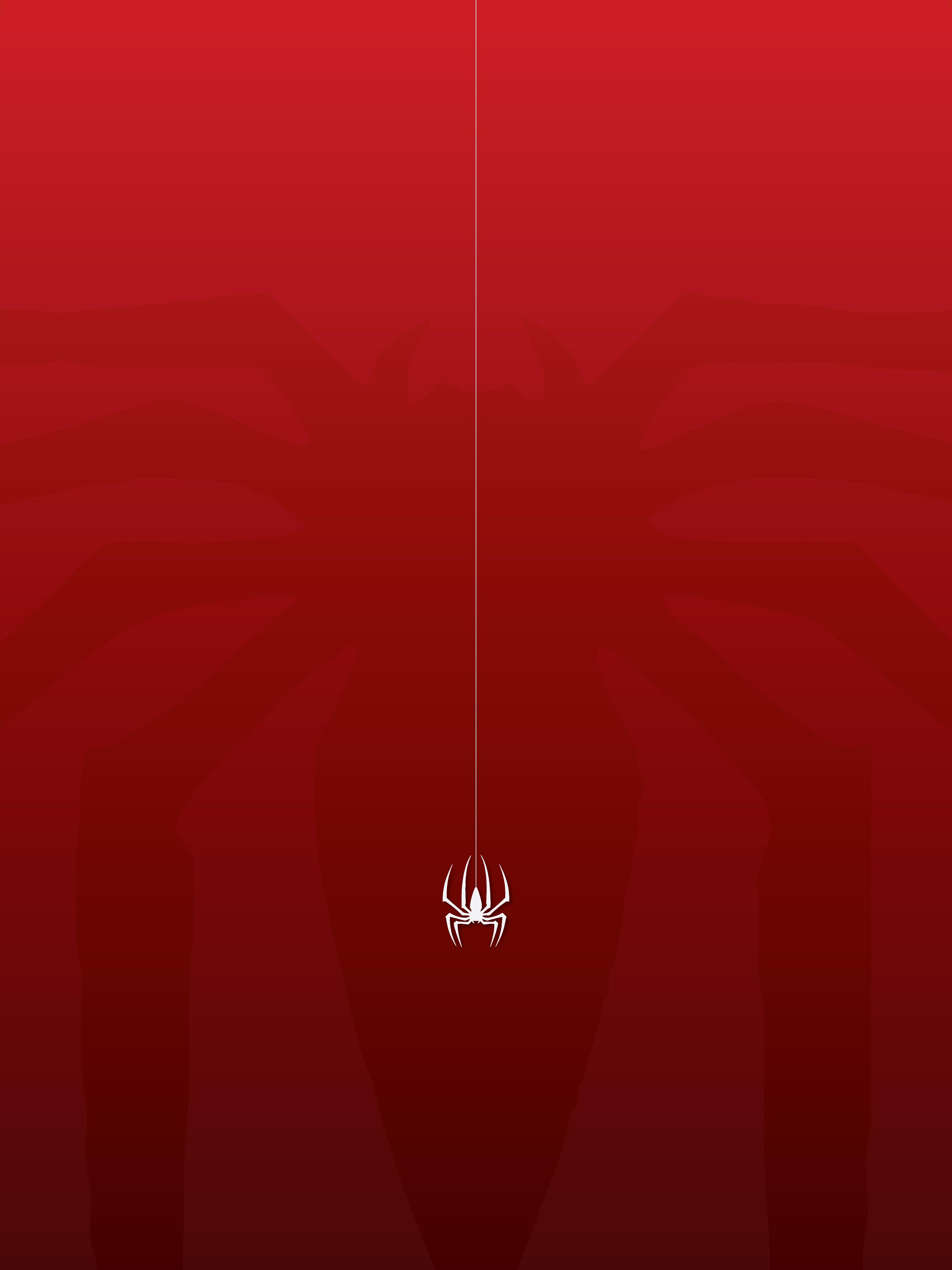 Spiderman Movie Mobile Wallpaper