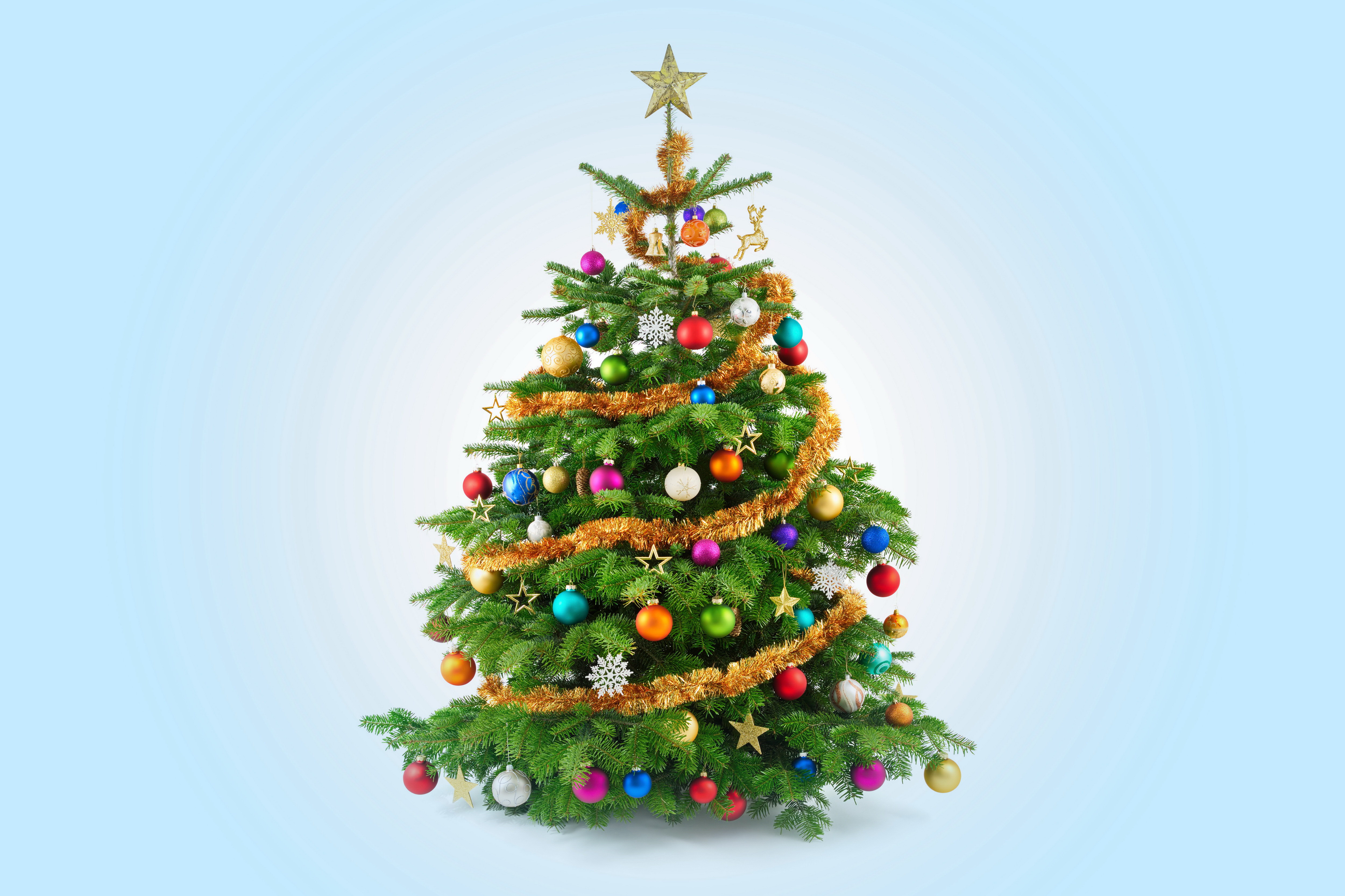 Christmas tree Desktop Wallpaper FREE on Latoro.com