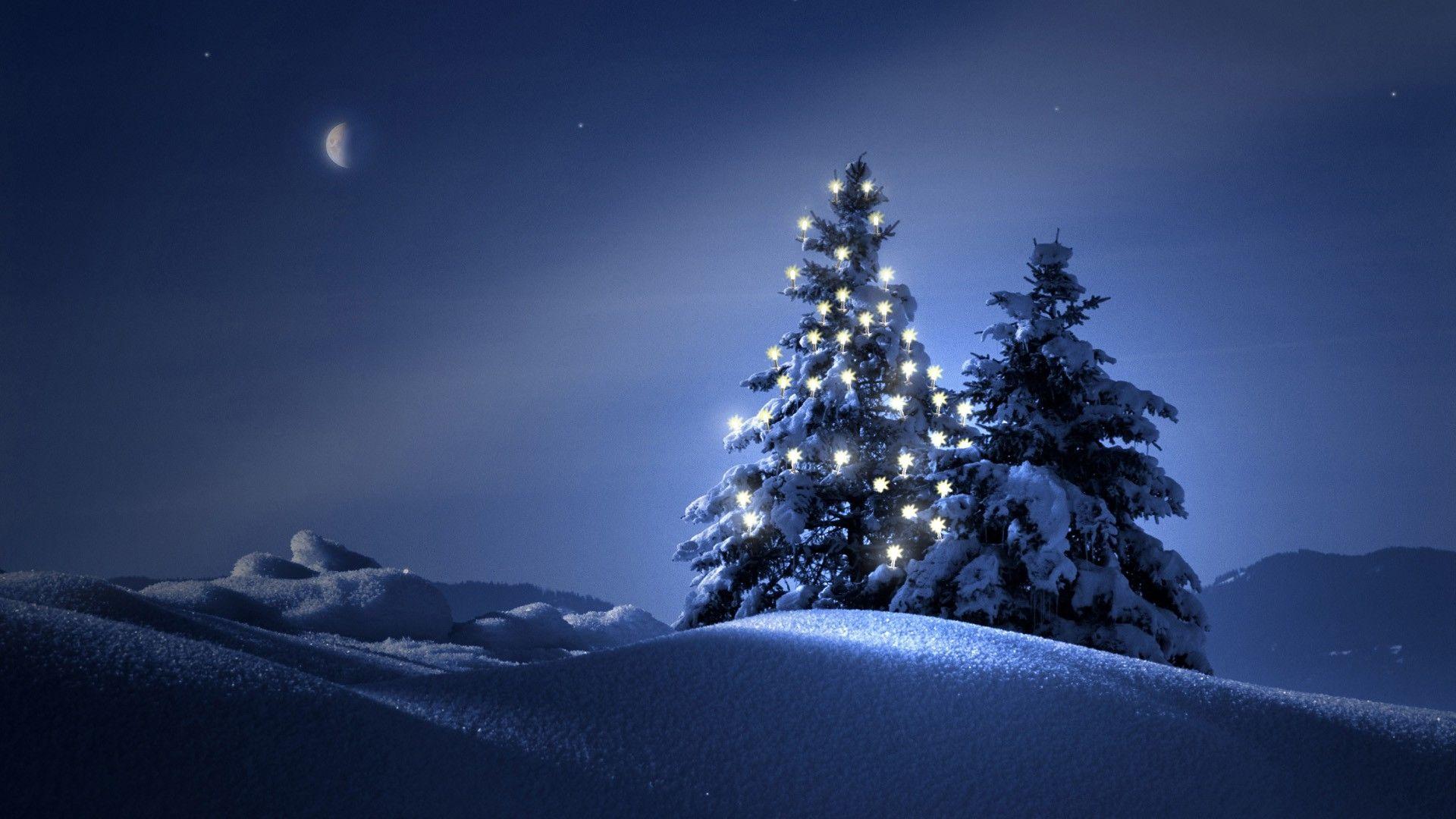 Christmas Night Tree Wallpapers - Wallpaper Cave