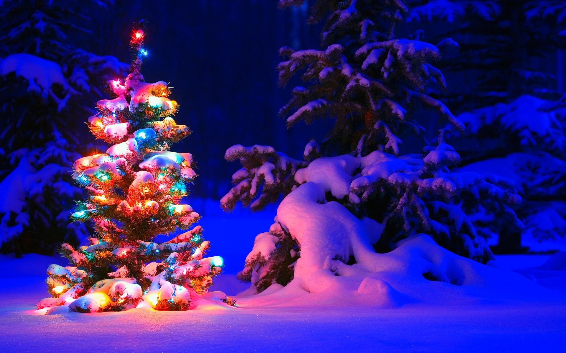 Christmas Background, Snowy Christmas Tree Lights