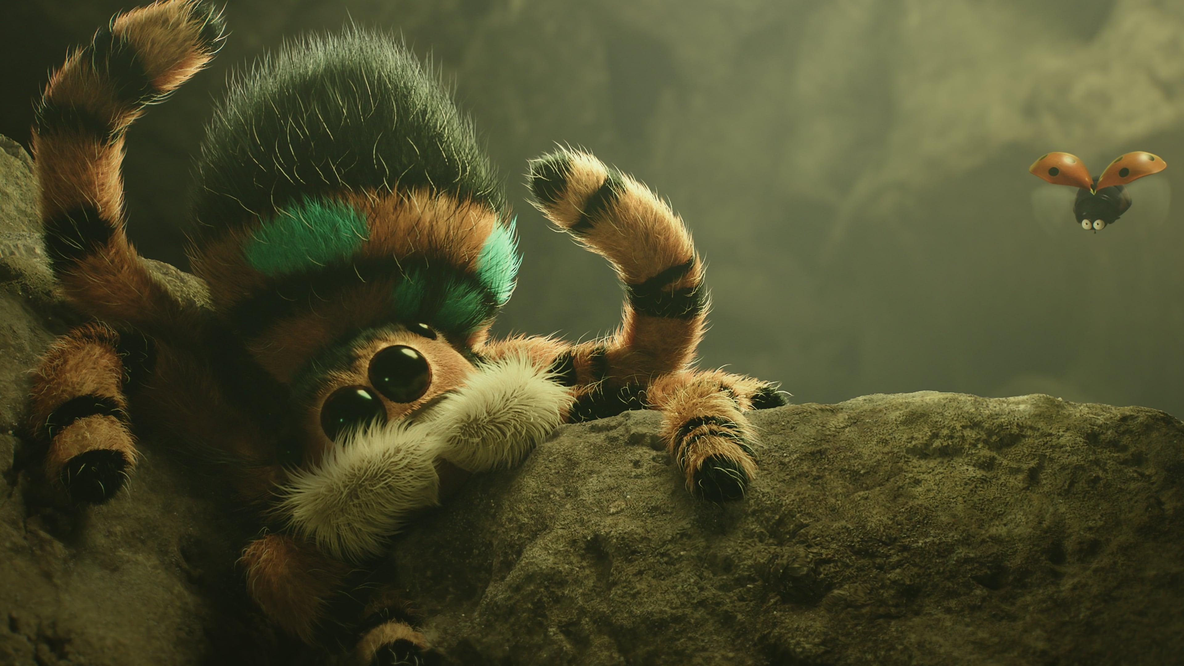 Minuscule Wallpapers Wallpaper Cave