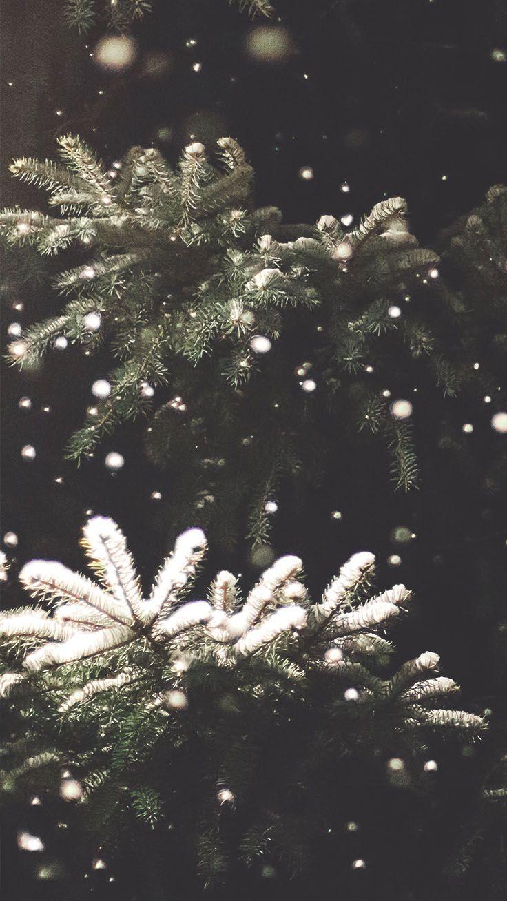 Merry Preppy Christmas iPhone Wallpaper. Nature