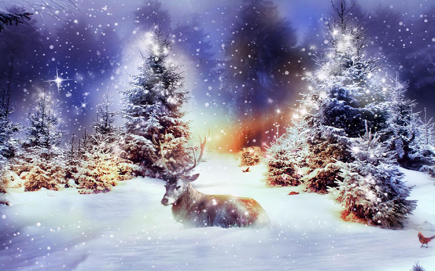 Winter Christmas Wallpaper HD Resolution Nature HD