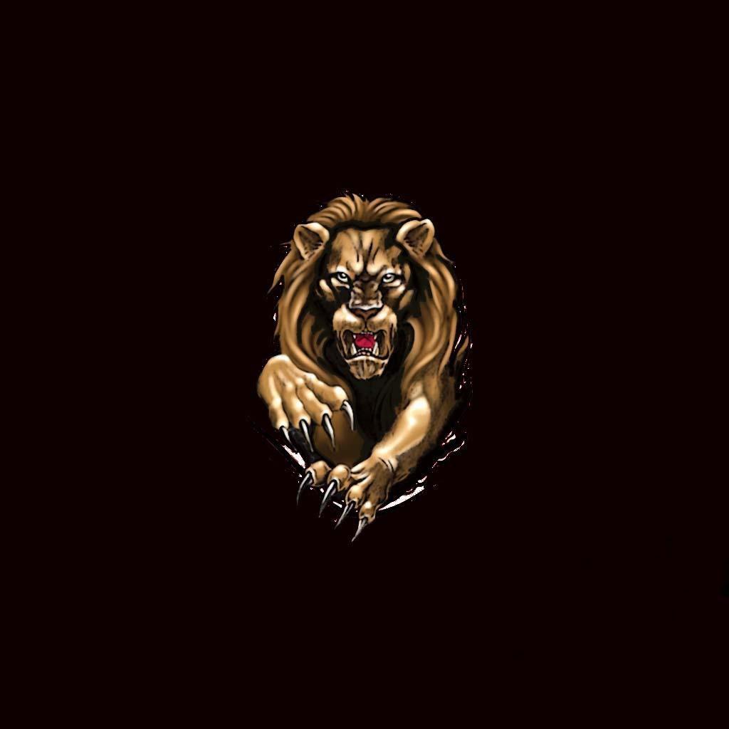 Free download Black Lion iPad Wallpaper [1024x1024]