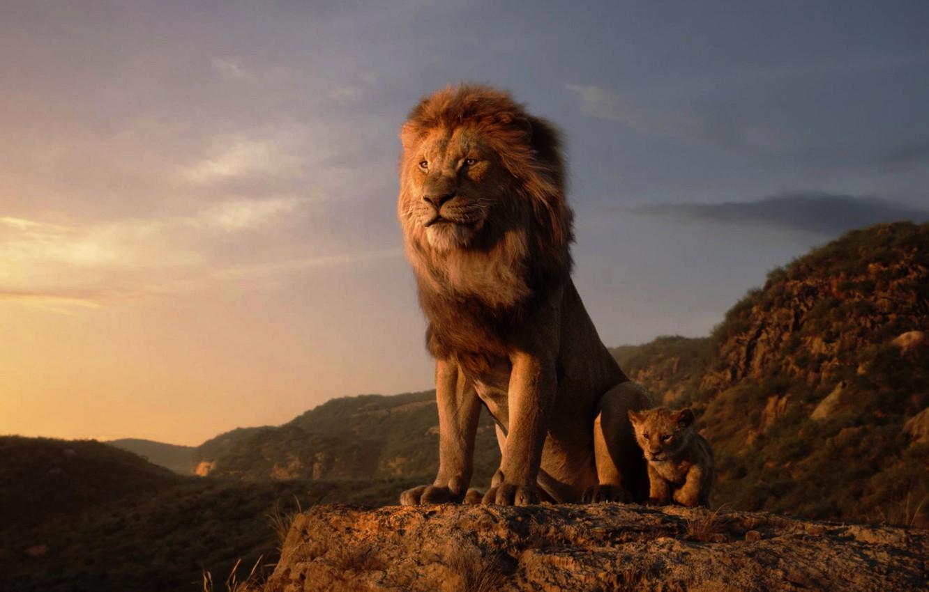 Wallpaper The Lion King, Walt Disney Picture, Jon Favreau