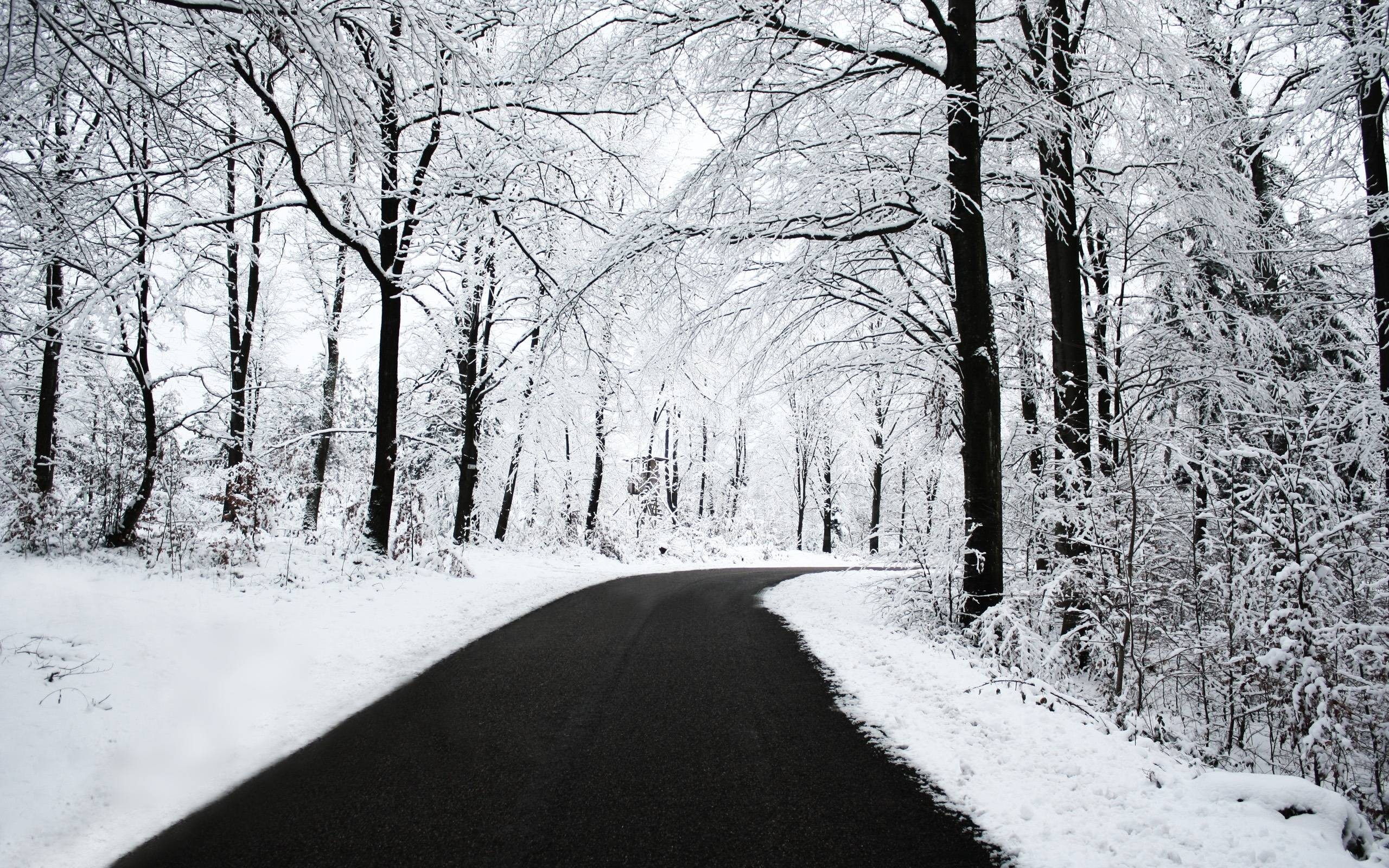 Winter Nature backgroundDownload free cool