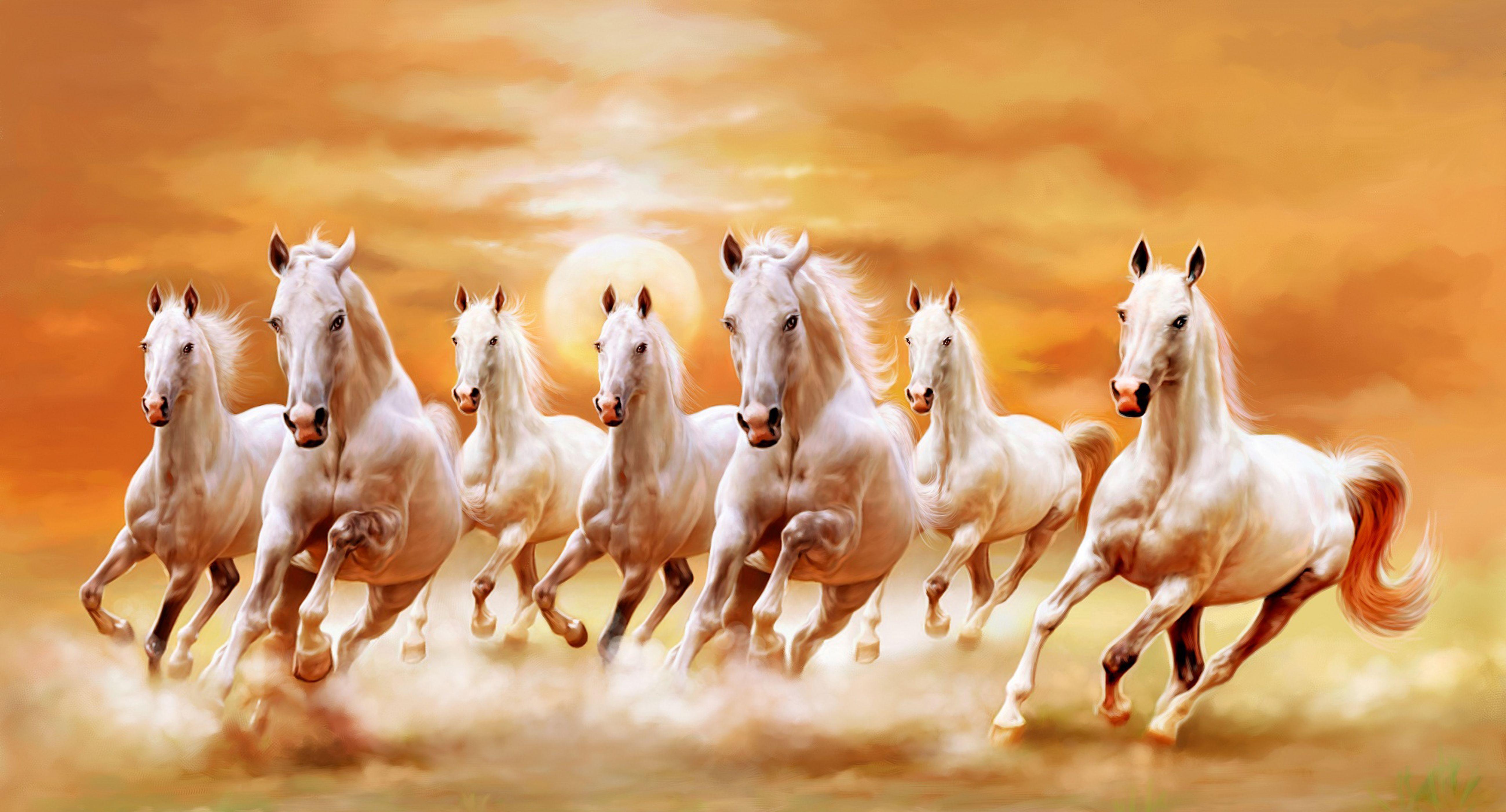 Beautiful White Horses White Horses Running
