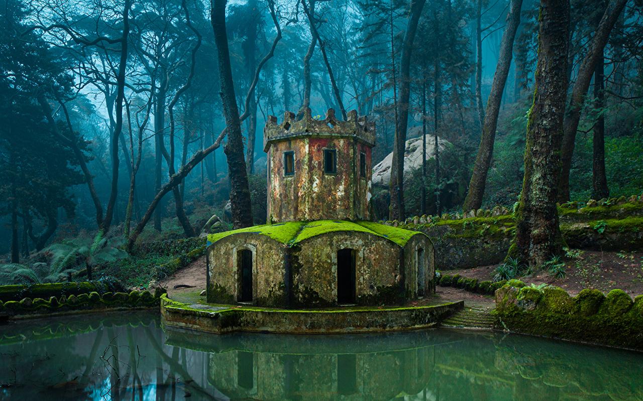 Image Sintra Portugal Hobbit's Castle Nature castle park Forests