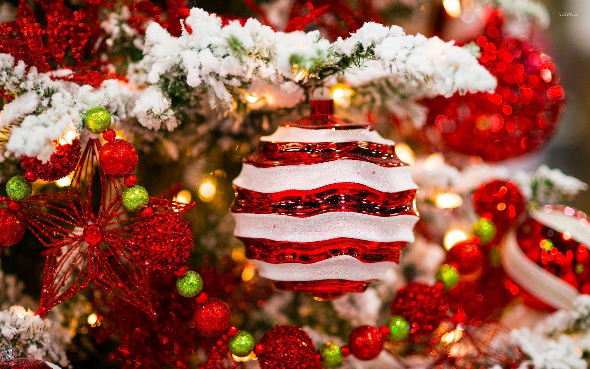 Red and white decorations in the snowy Christmas tree wallpapers