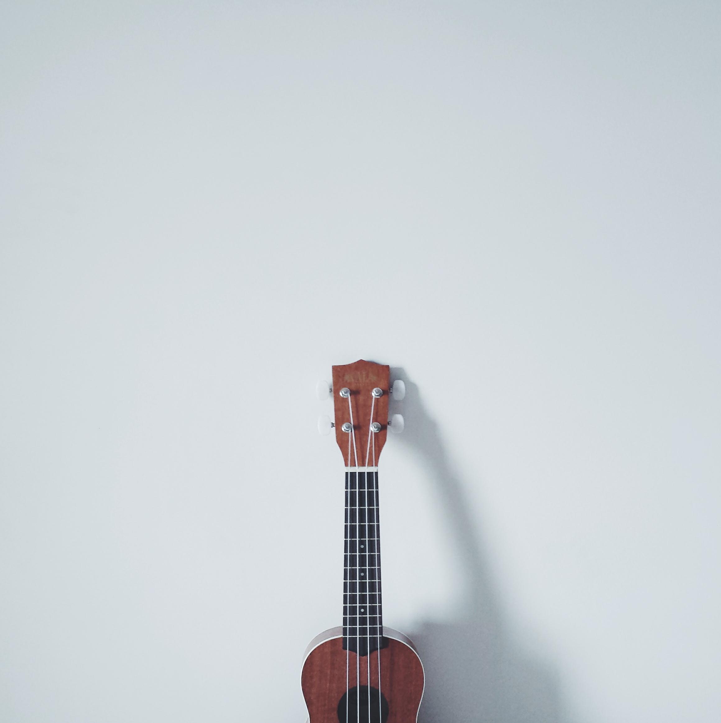 Ammco bus, Minimalist ukulele wallpaper