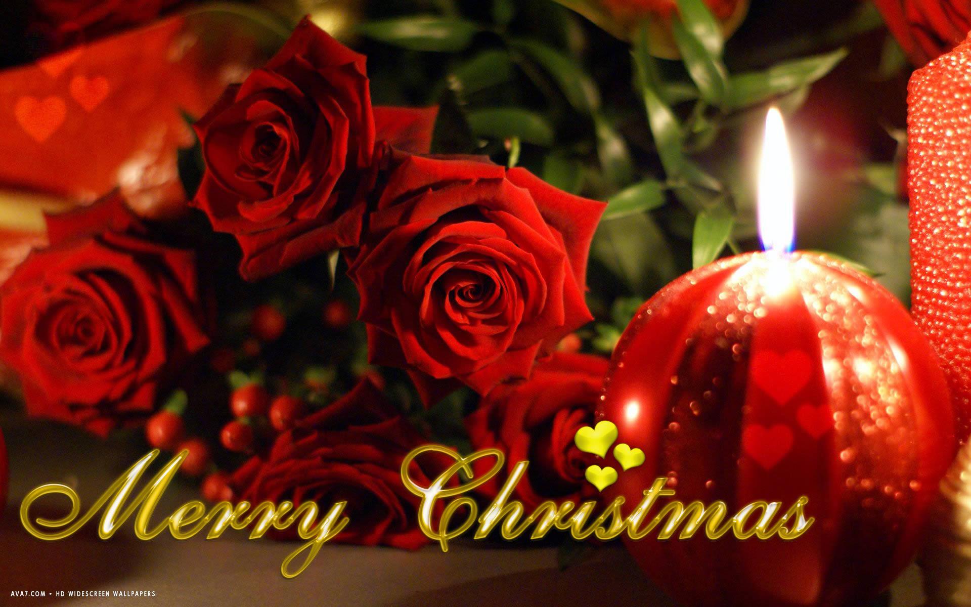 merry christmas red roses flowers candles holiday HD