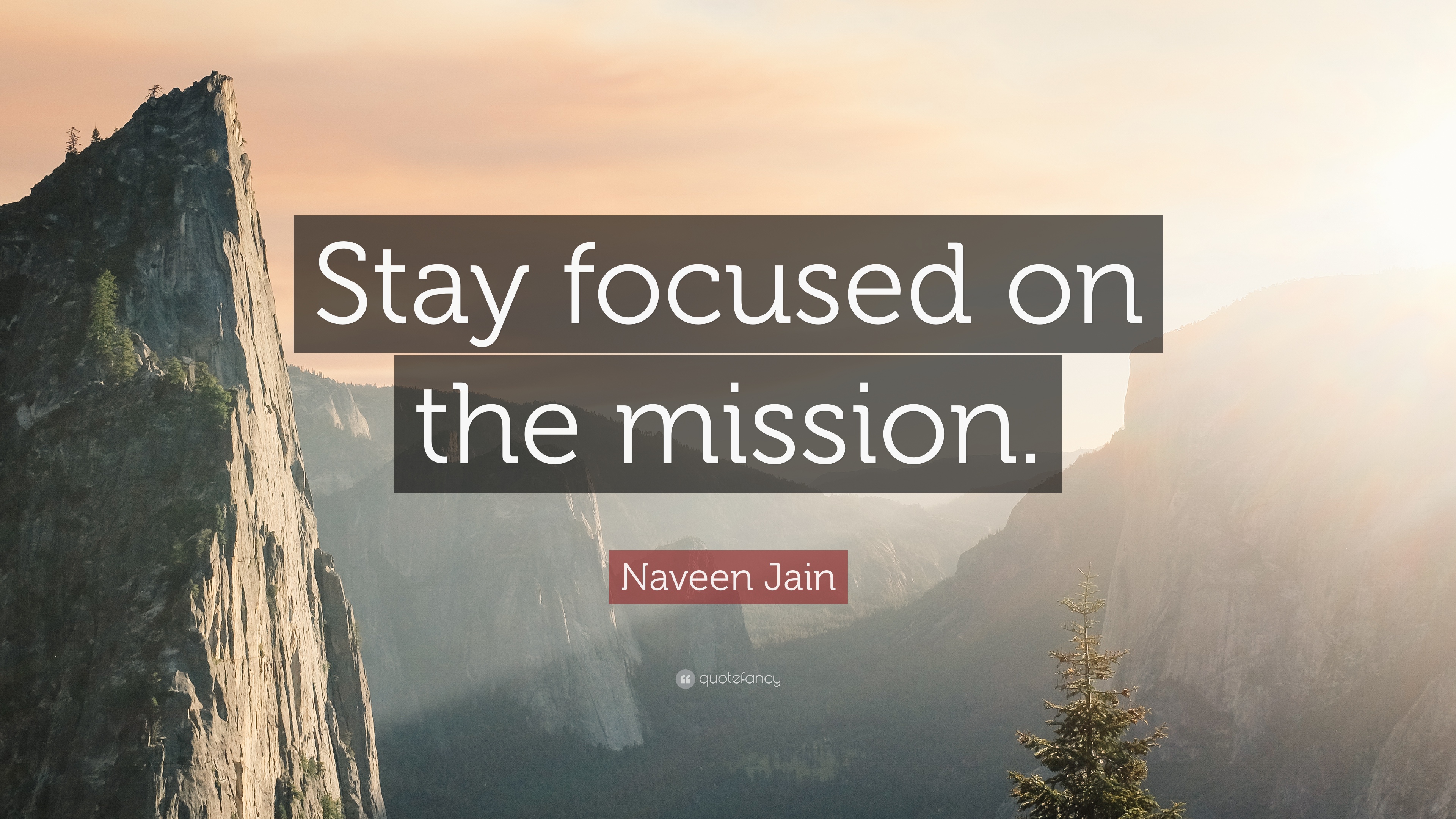 Naveen Jain Quote: “Stay focused on the mission.” (12 wallpaper)