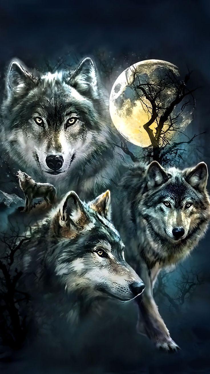 wolf iphone 5 wallpaper