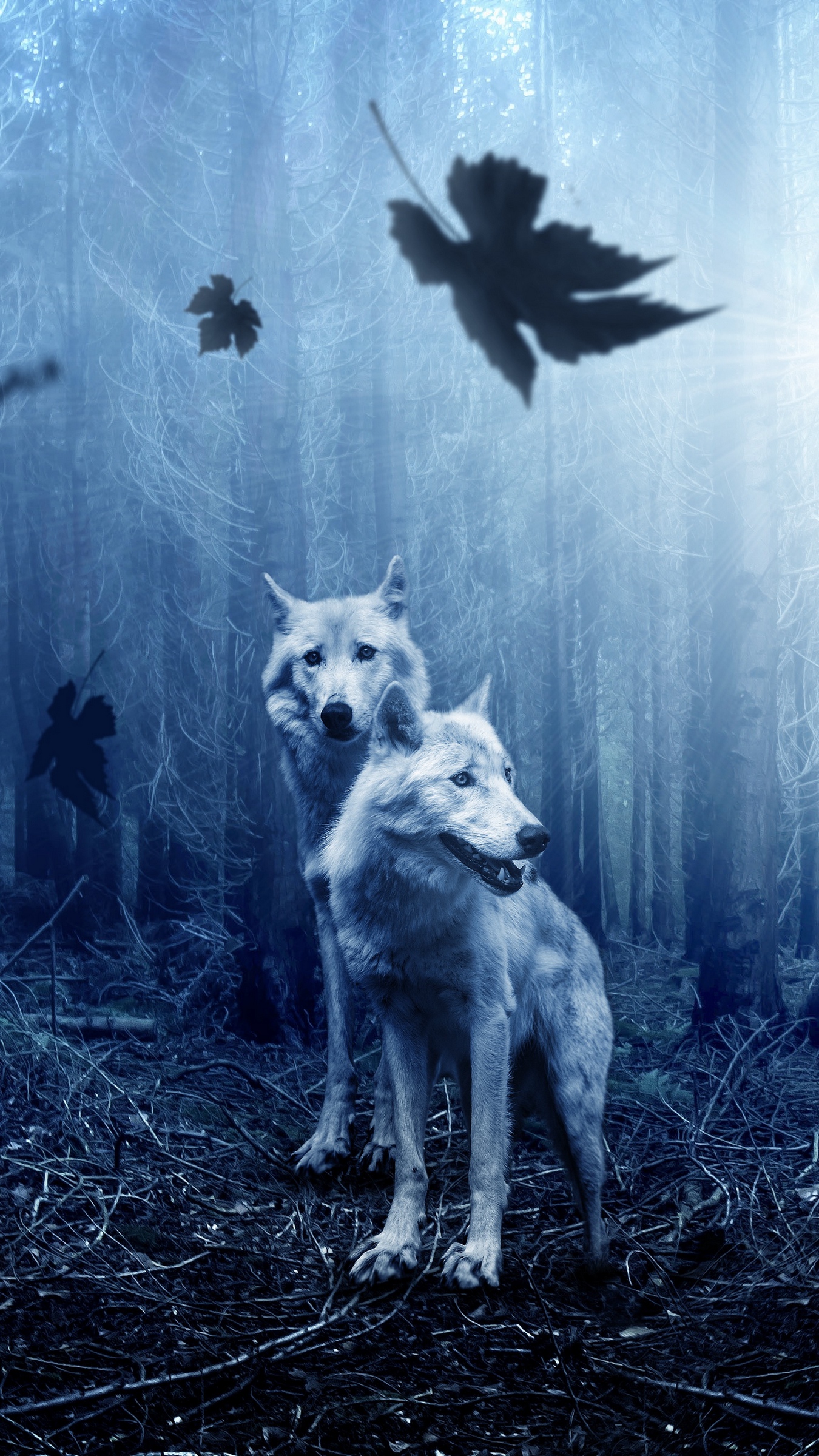 Download wallpaper 1350x2400 wolves, predators, forest