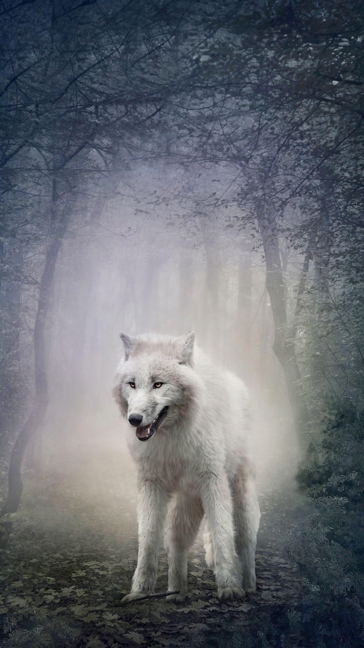 White Wolf iPhone Wallpaper Free White Wolf iPhone