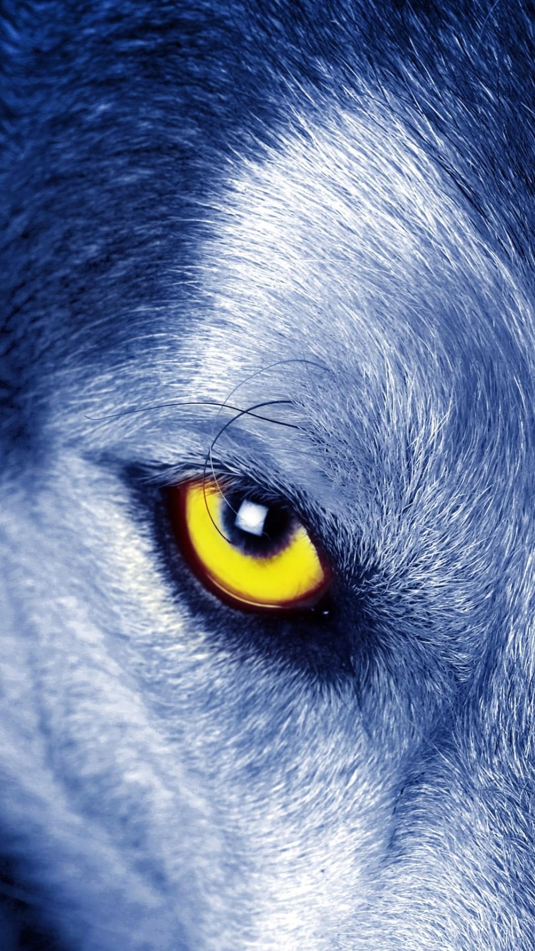 Cool Wolves  iPhone  Wallpapers  Wallpaper  Cave