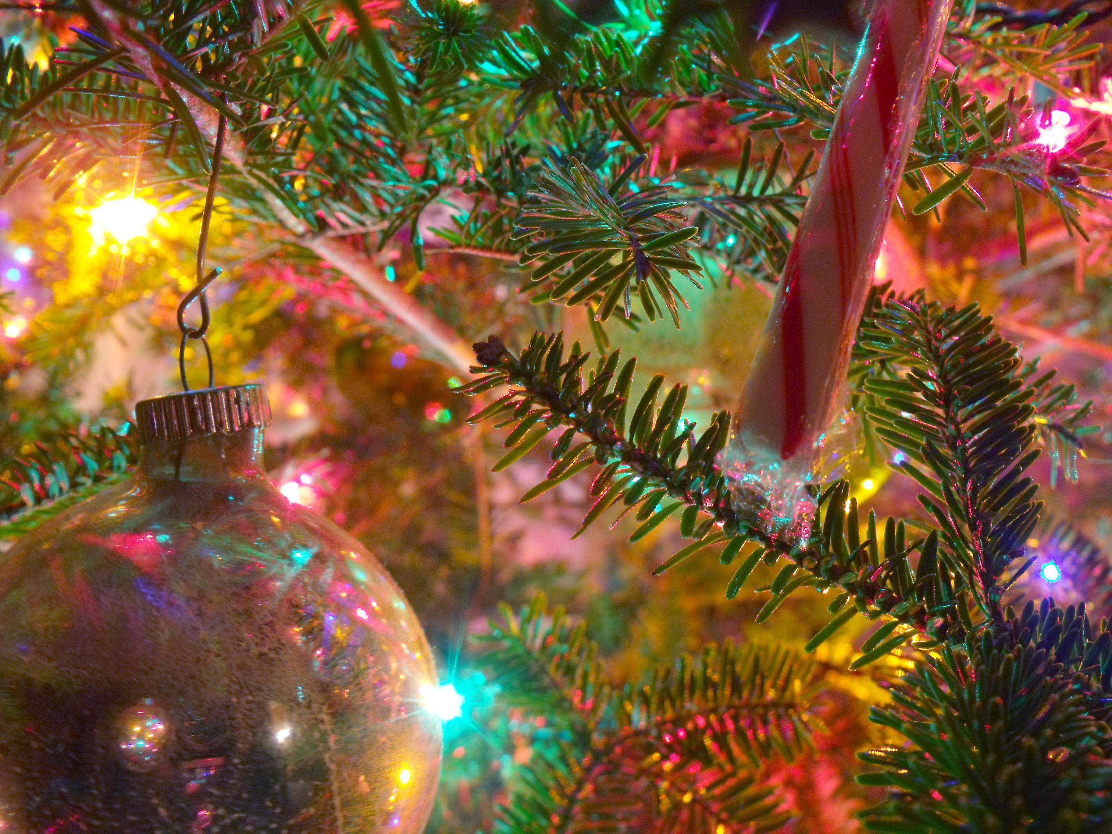 Christmas pictures for computer desktops