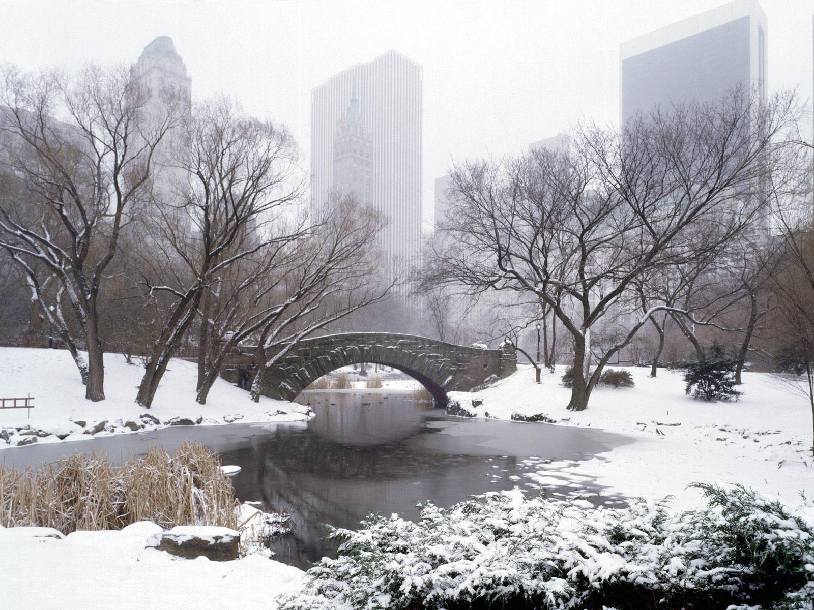 Central Park in winter Windows 7 Scenery Desktop Wallpaper