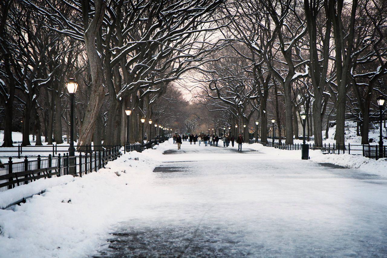 Winter In New York, HD Wallpaper & background Download