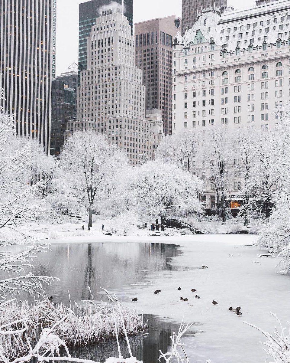 Winter in Central Park. New york christmas, New york photography, Winter city