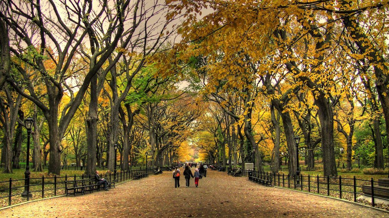 Central Park Autumn landscape nature beauty wallpaperx1080