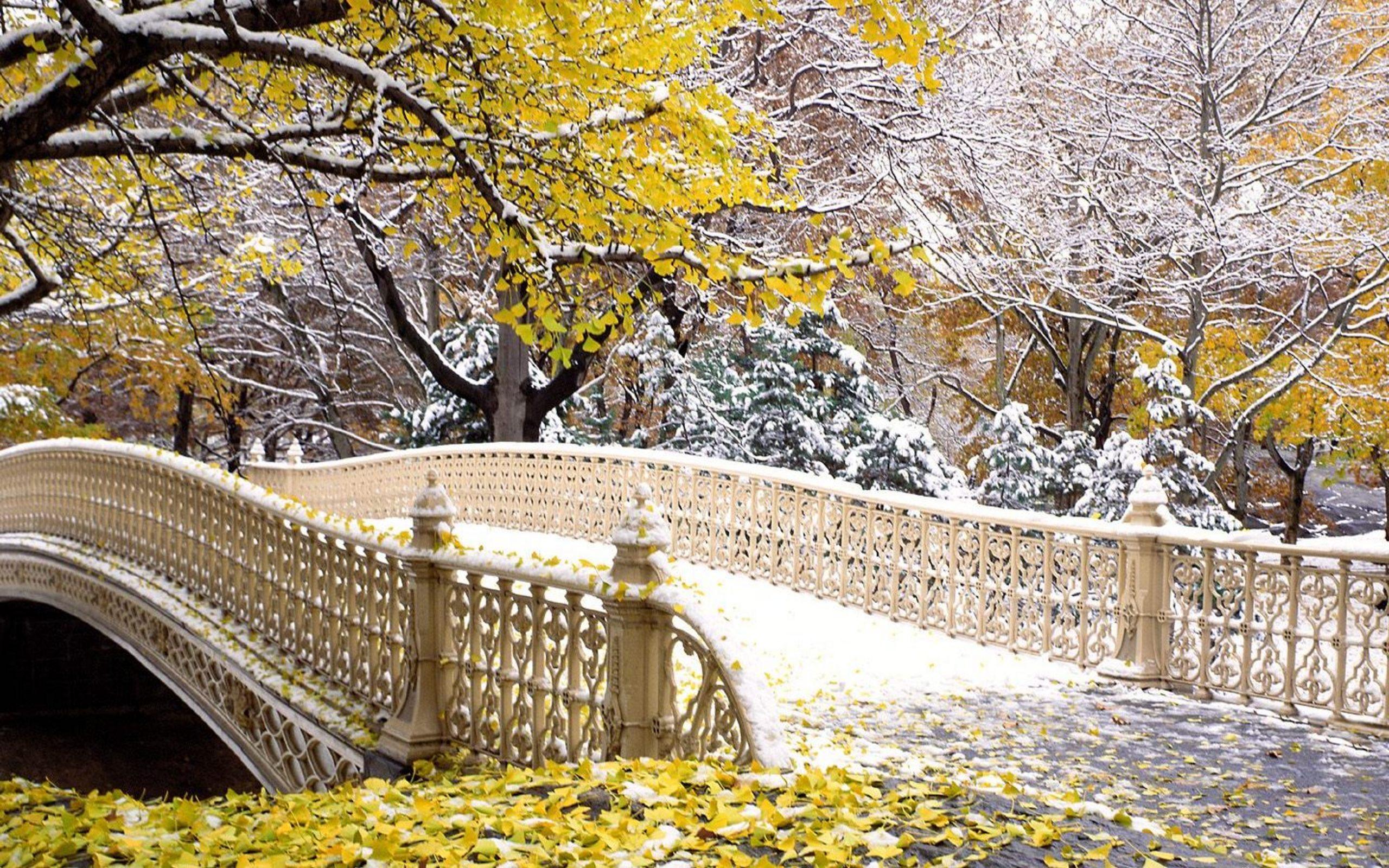 Fall Central Park New York , 2560x1600. All For Desktop