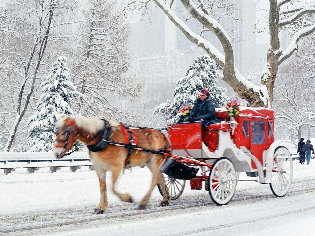Christmas Time <33