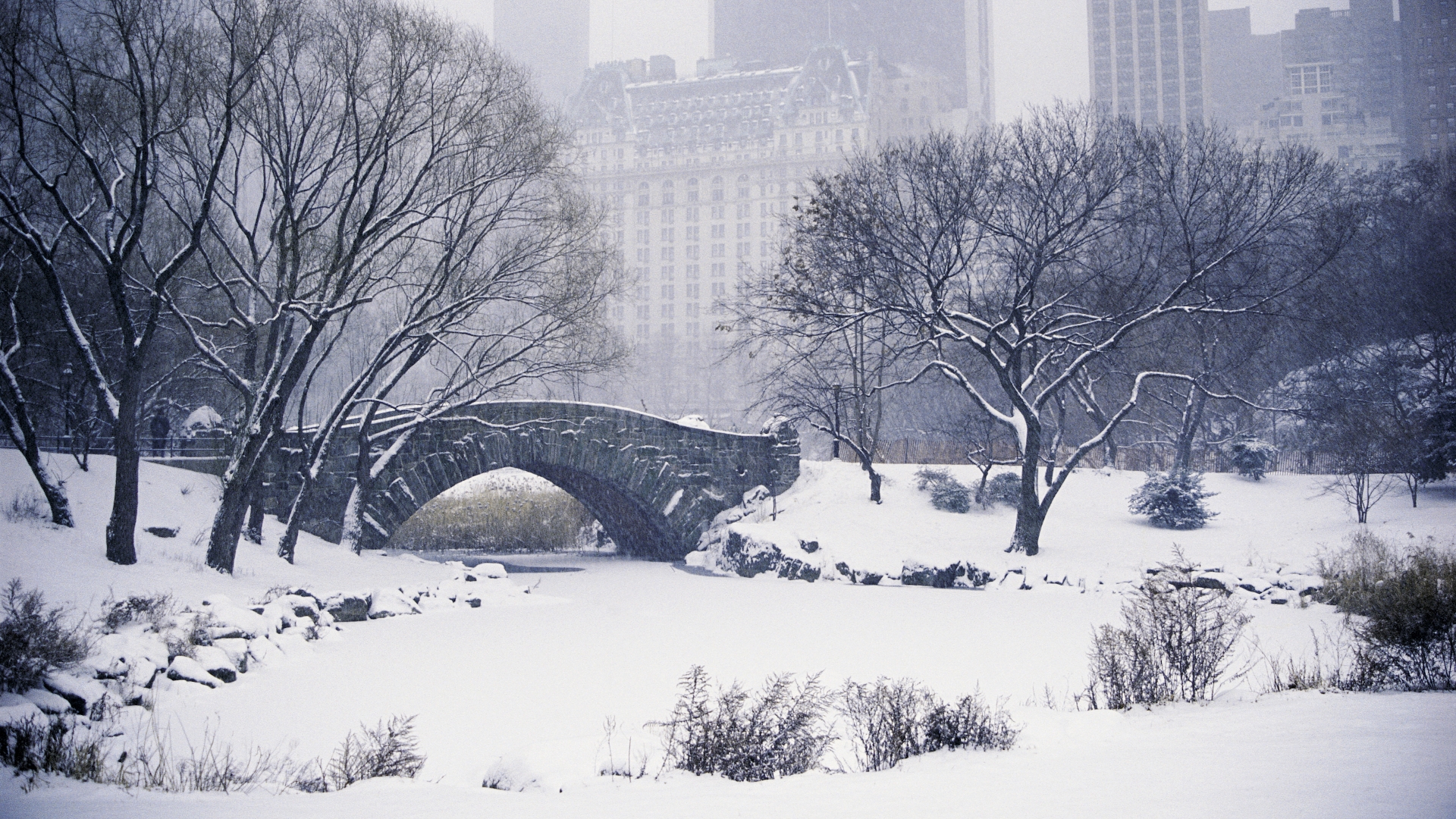 Winter in the City Park widescreen wallpaper. Wide