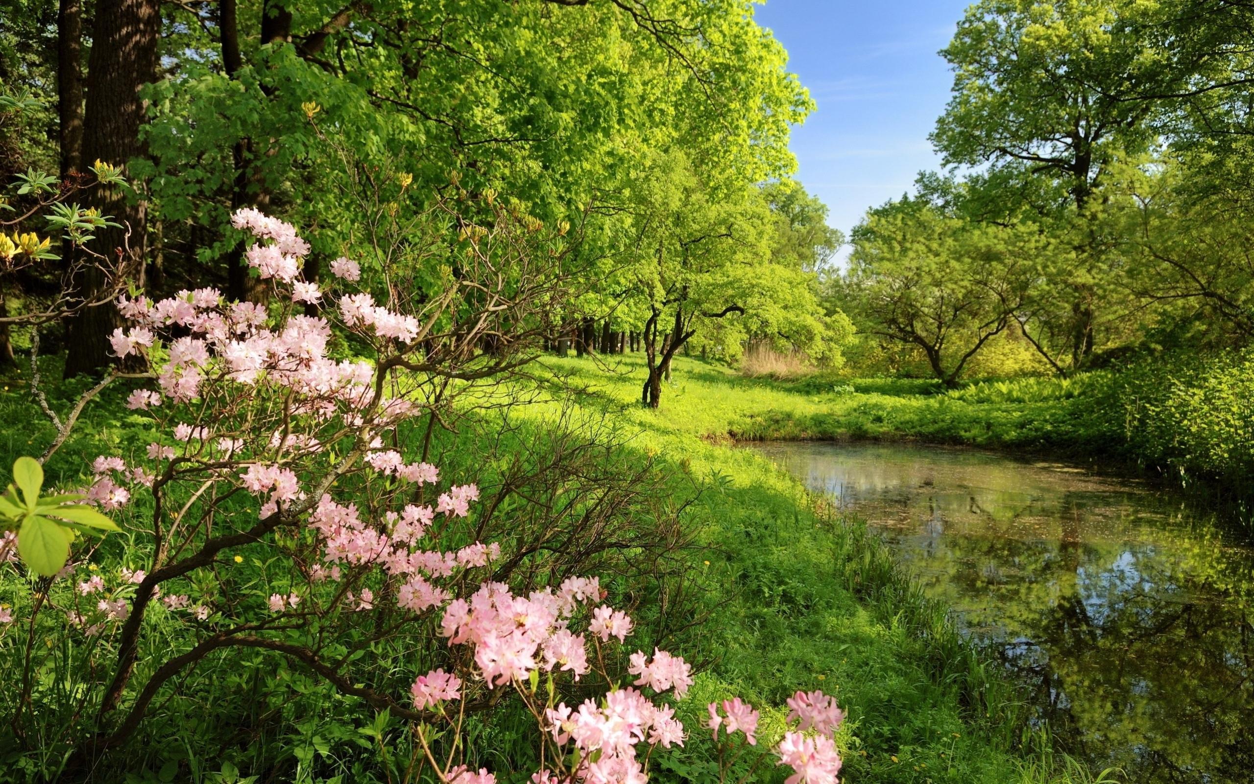 Free download Beautiful spring river wallpaper and image
