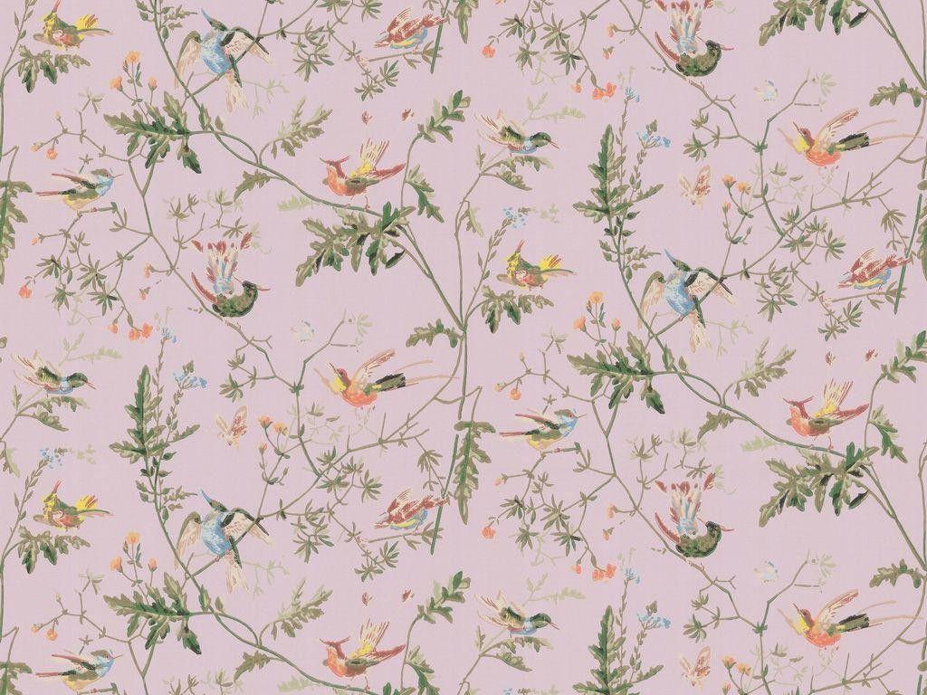 Cole & Son Lilac Wallpaper. Patterny