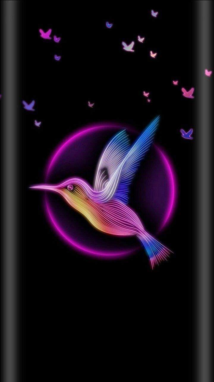 Wallpaper ID 448593  Animal Hummingbird Phone Wallpaper Purple Flower  Flower Spring Bird 720x1280 free download