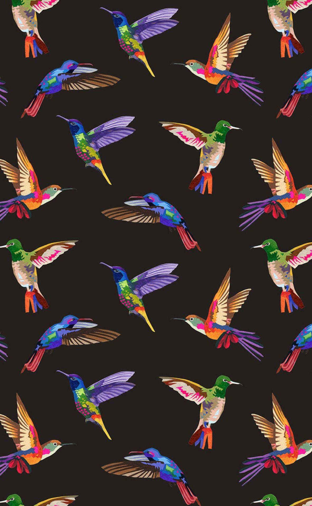 Hummingbirds pattern. Hummingbird illustration, Pattern