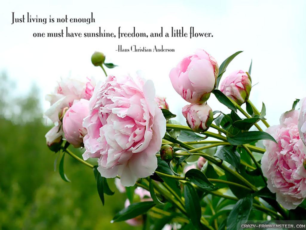 Beautiful Wallpaper With Quotes 1 Beautiful Flowers