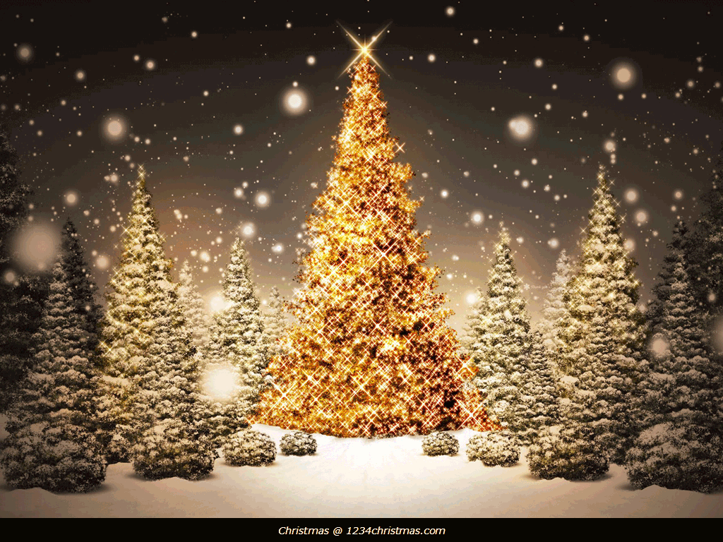 Golden Christmas Tree Wallpaper Download. Christmas lights