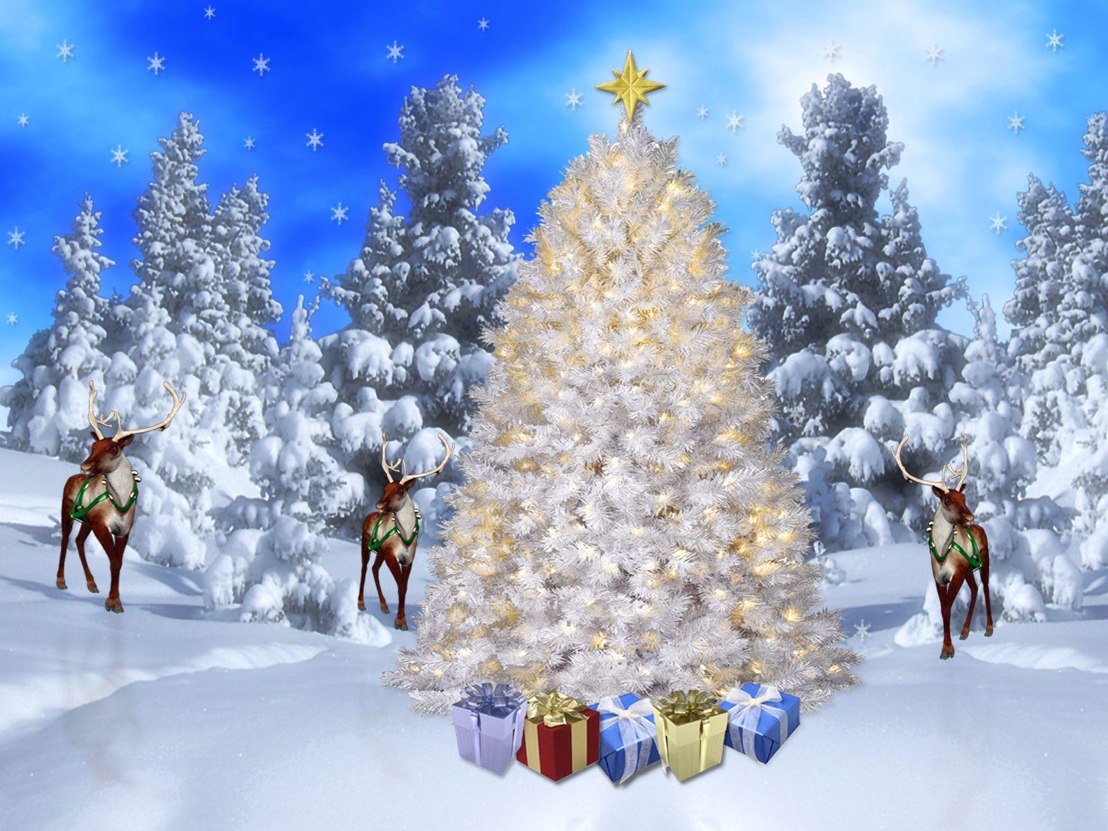 Bing Christmas Tree Wallpapers - Wallpaper Cave