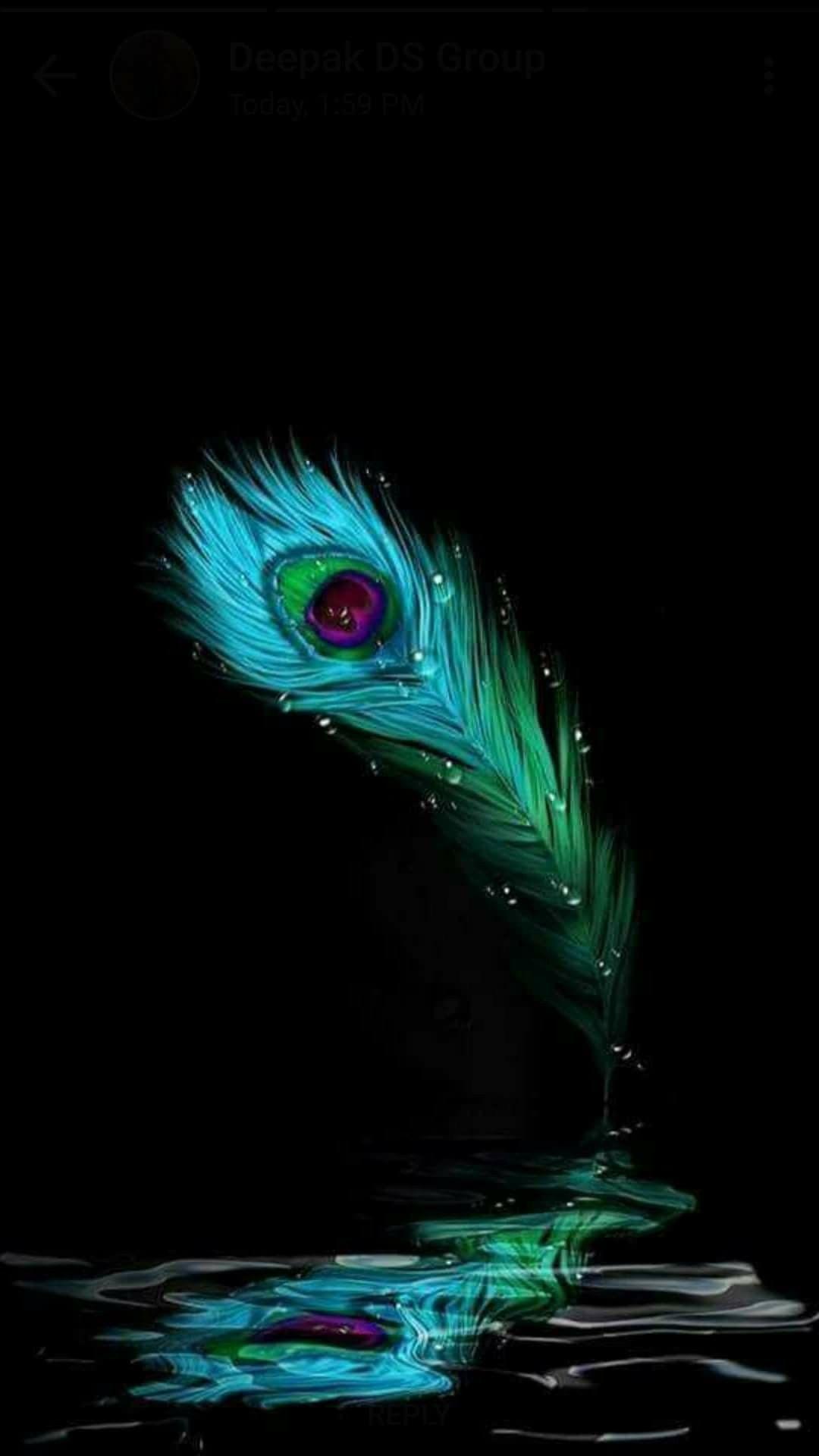 Peacock Feather ! #beauty #peacock #feather #divine. Krishna