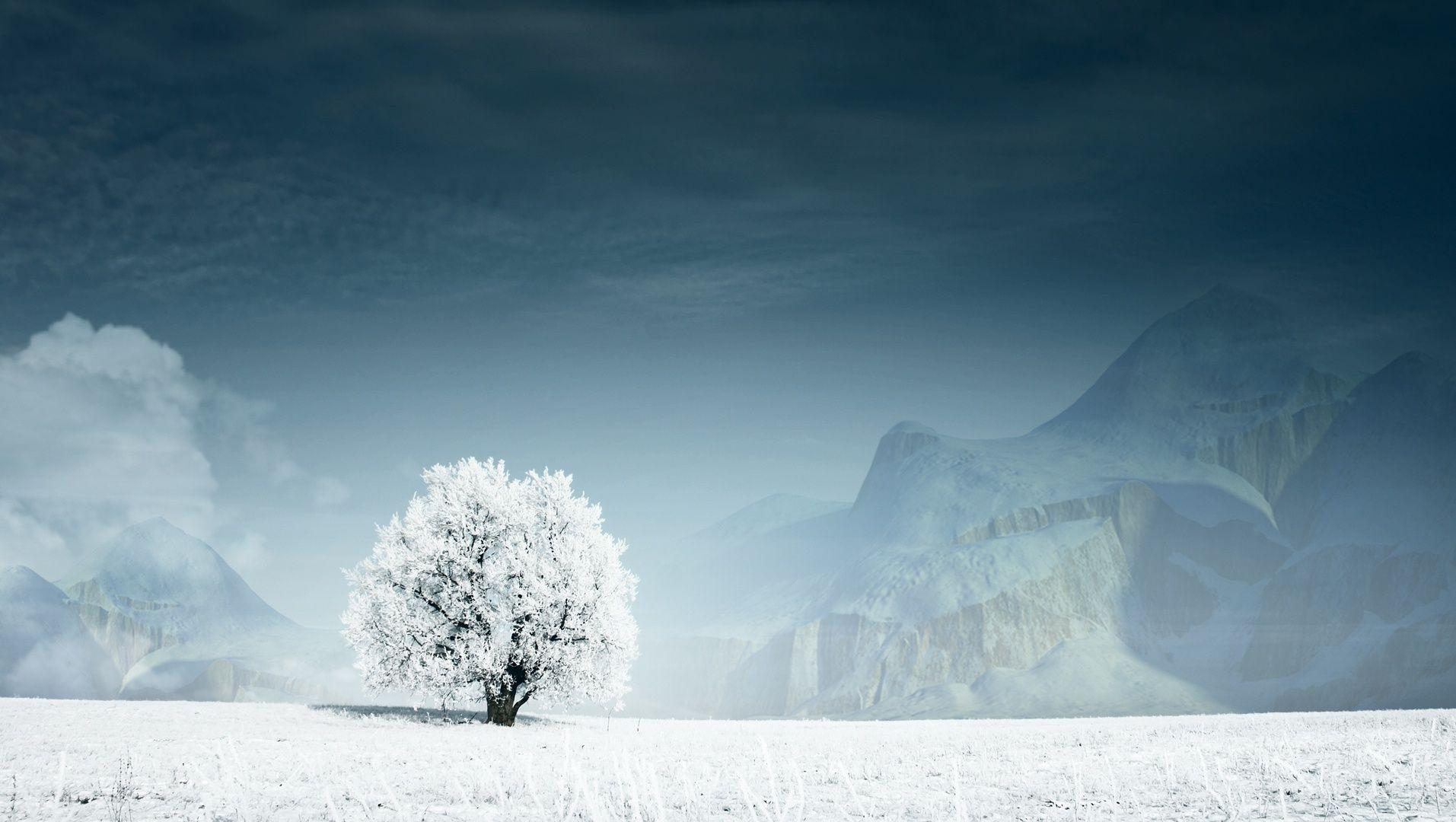 Infrared Winter Wallpapers - Wallpaper Cave