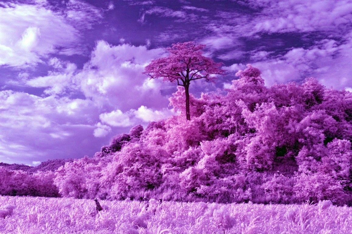 Infrared Landscape Wallpapers - Wallpaper Cave