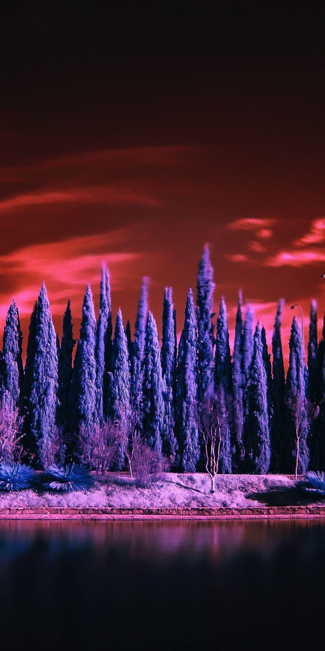 Infrared Tree Wallpapers
