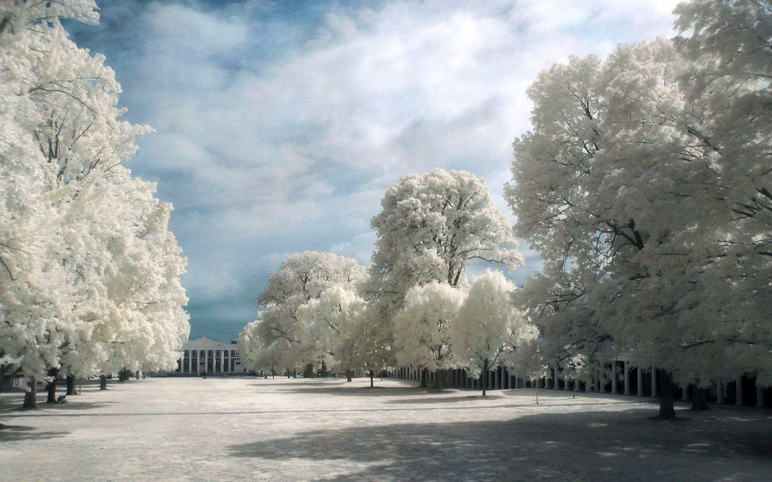 Infrared Photography central city park HD Wallpaper. Background