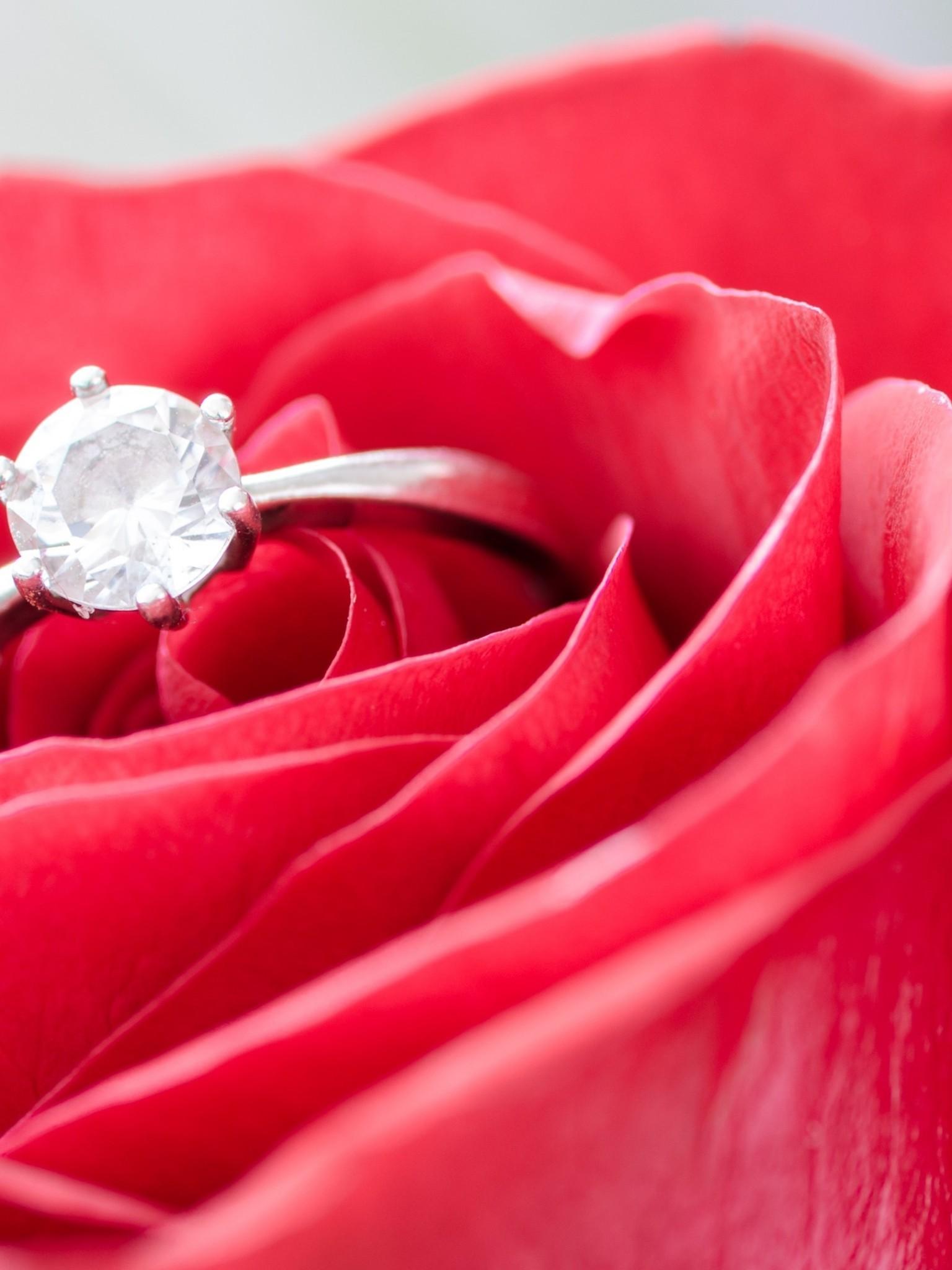 Download 1536x2048 Diamond Ring, Red Rose, Macro, Petals