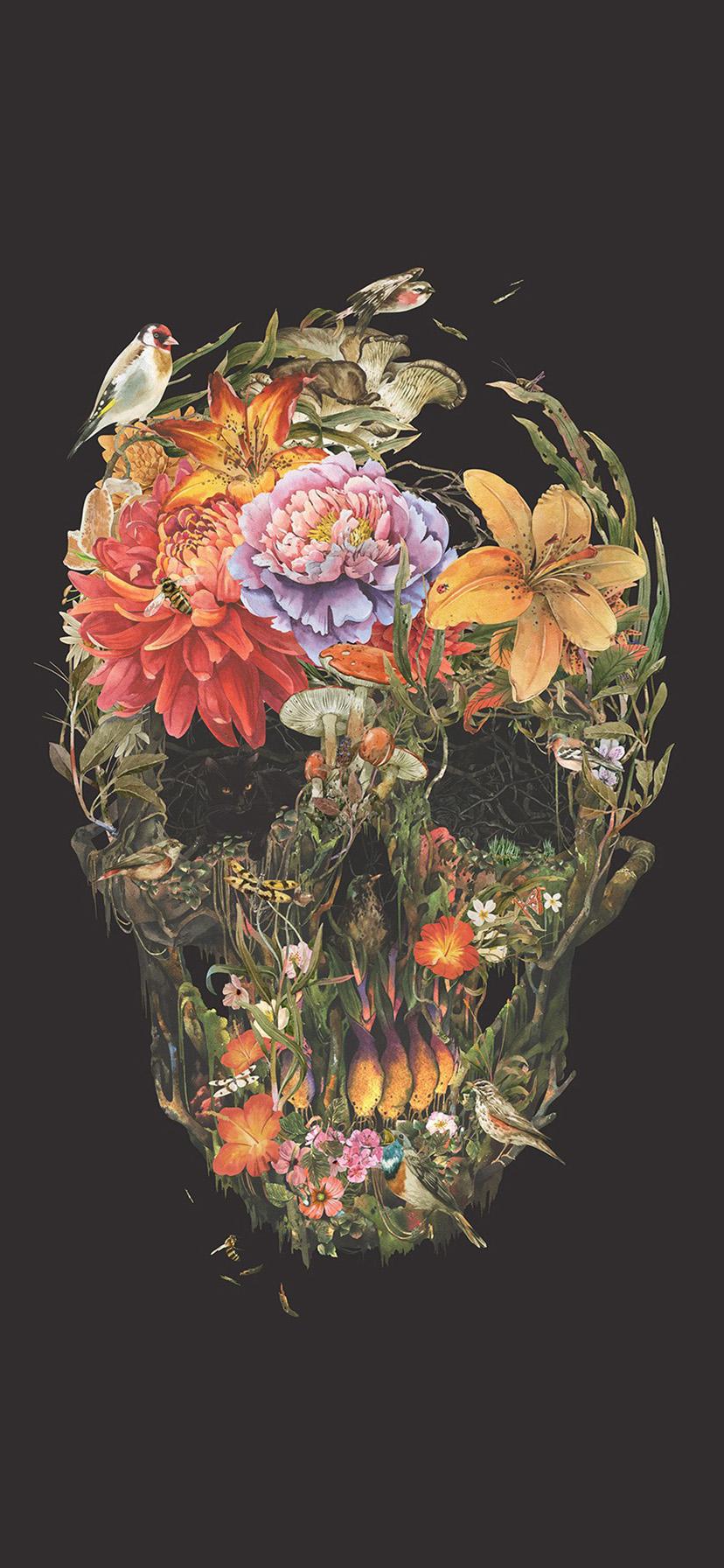 iPhone Xr Wallpaper For Skull Flower Dark Painting